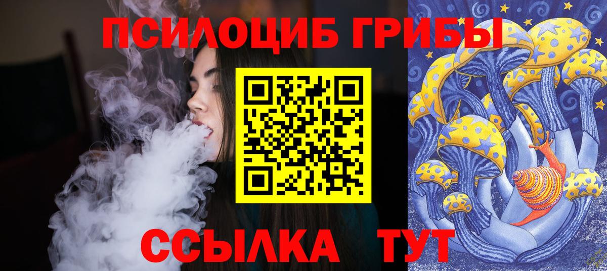 Псилоцибиновые грибы Psilocybe  Вход с VPN  Верхний Уфалей 